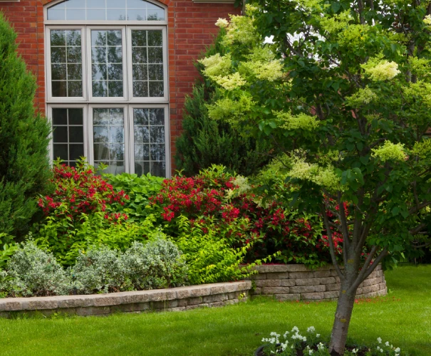 Experience Top-Notch Landscaping Services for Your Property